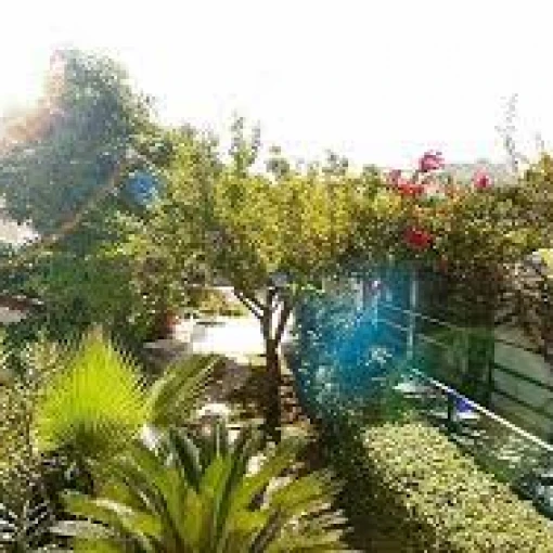 centro-residencial-los-arrayanes-exterior