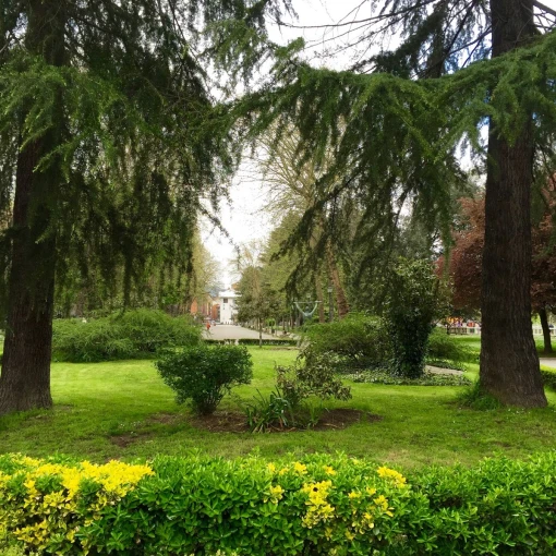 residencia-geriatrica-el-dorado-langreo-asturias