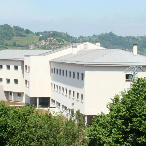 Mentalia Langreo