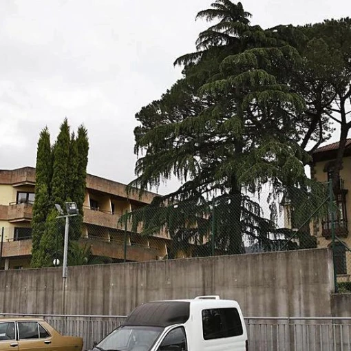 residencia-de-ancianos-cpr-pravia-pravia-asturias