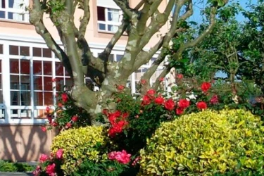 Residencia geriátrica La Fresneda