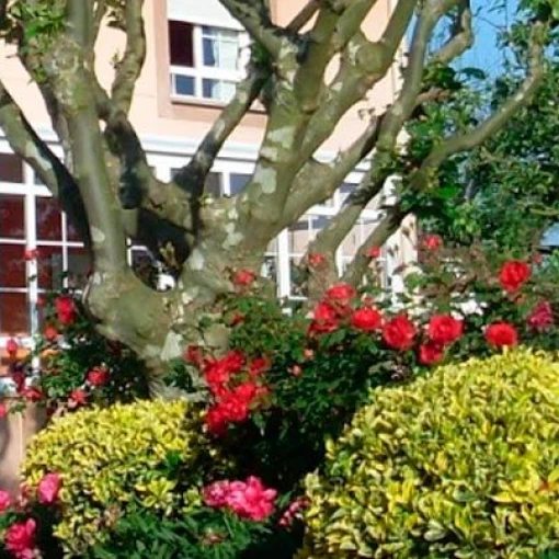 Residencia geriátrica La Fresneda
