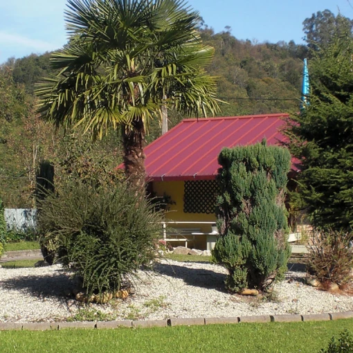 Centro geriátrico Nuestra Señora del Amparo