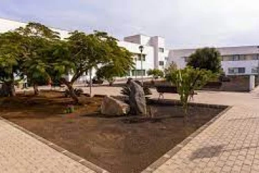 AMAVIR Tías