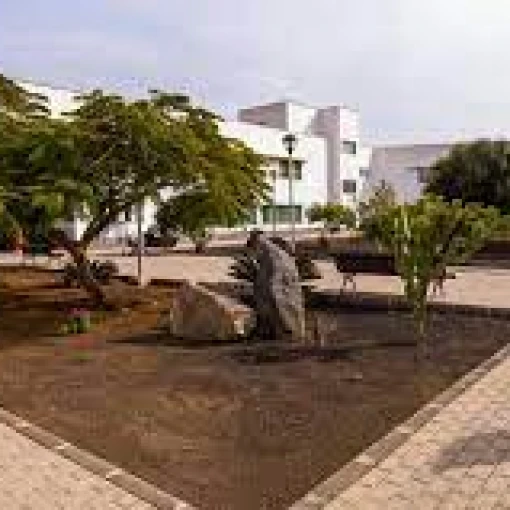 AMAVIR Tías
