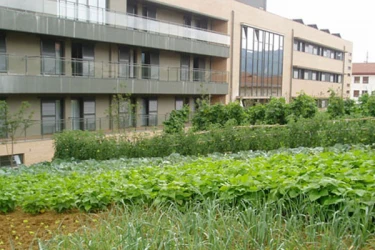 fundacion_residencia_calzada_vizcaya_gerrika_lumo