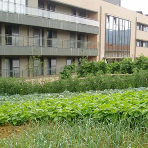 fundacion_residencia_calzada_vizcaya_gerrika_lumo