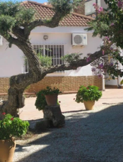 mejores residencias de ancianos en sevilla y provincia