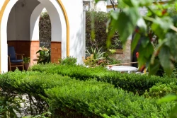 residencia-aurora-jardines