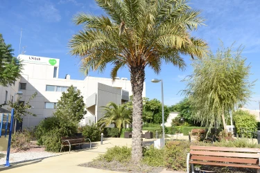 residencia_pmd_domusvi_laljub_alicante_elche