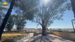 residencia-de-mayores-deussolus-gerena-jardin
