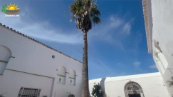 residencia-de-mayores-deussolus-gerena-patio