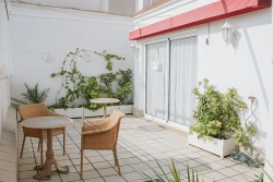 residencia mussol patio