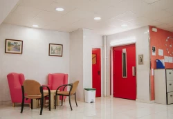 residencia mussol salon
