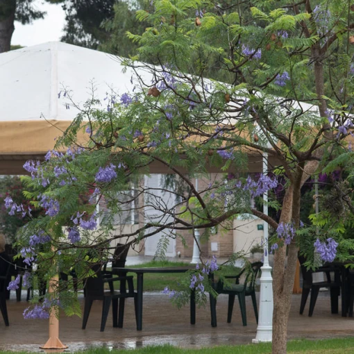 residencia_de_tercera_edad_centre_de_majors_el_mas_valencia_torrent